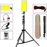 وقتی شب می رسد، DK - 19 روشن می ماند